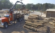 New Rotobec lifting logs